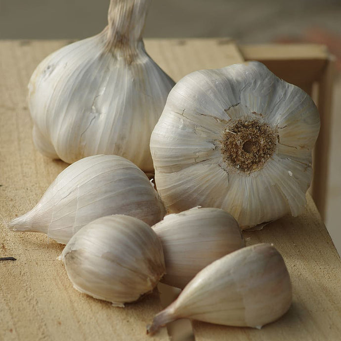 Organic Giant Russian Garlic - loose bulbs 1kg